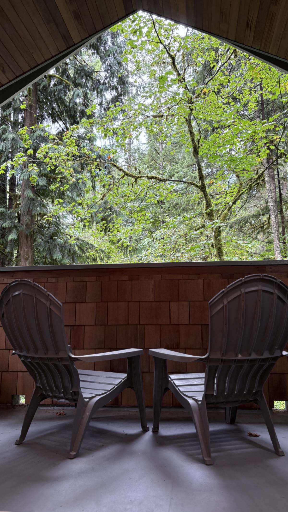 Two Adirondack chairs on the covered, cedar-shingled balcony off the king suite, facing maple and cedar trees
